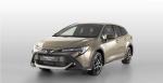Toyota Corolla Trek Hybrid 2019 года (WW)